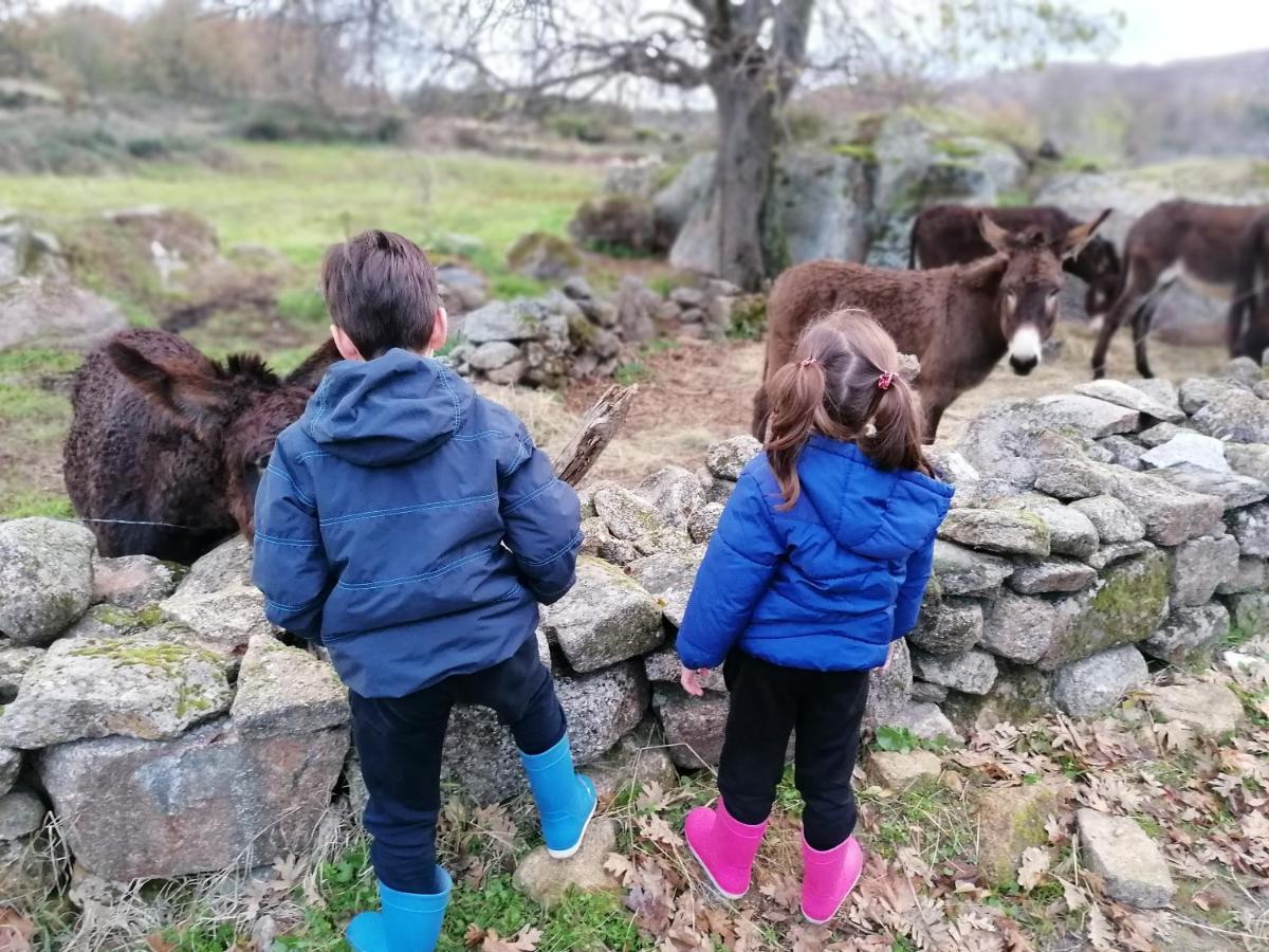 Villa La Casa De Abajo Arroyomolinos de la Vera Esterno foto